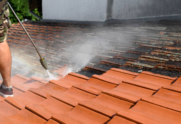 Best Pressure Washing Company Near Me  in Baltimore, MD
